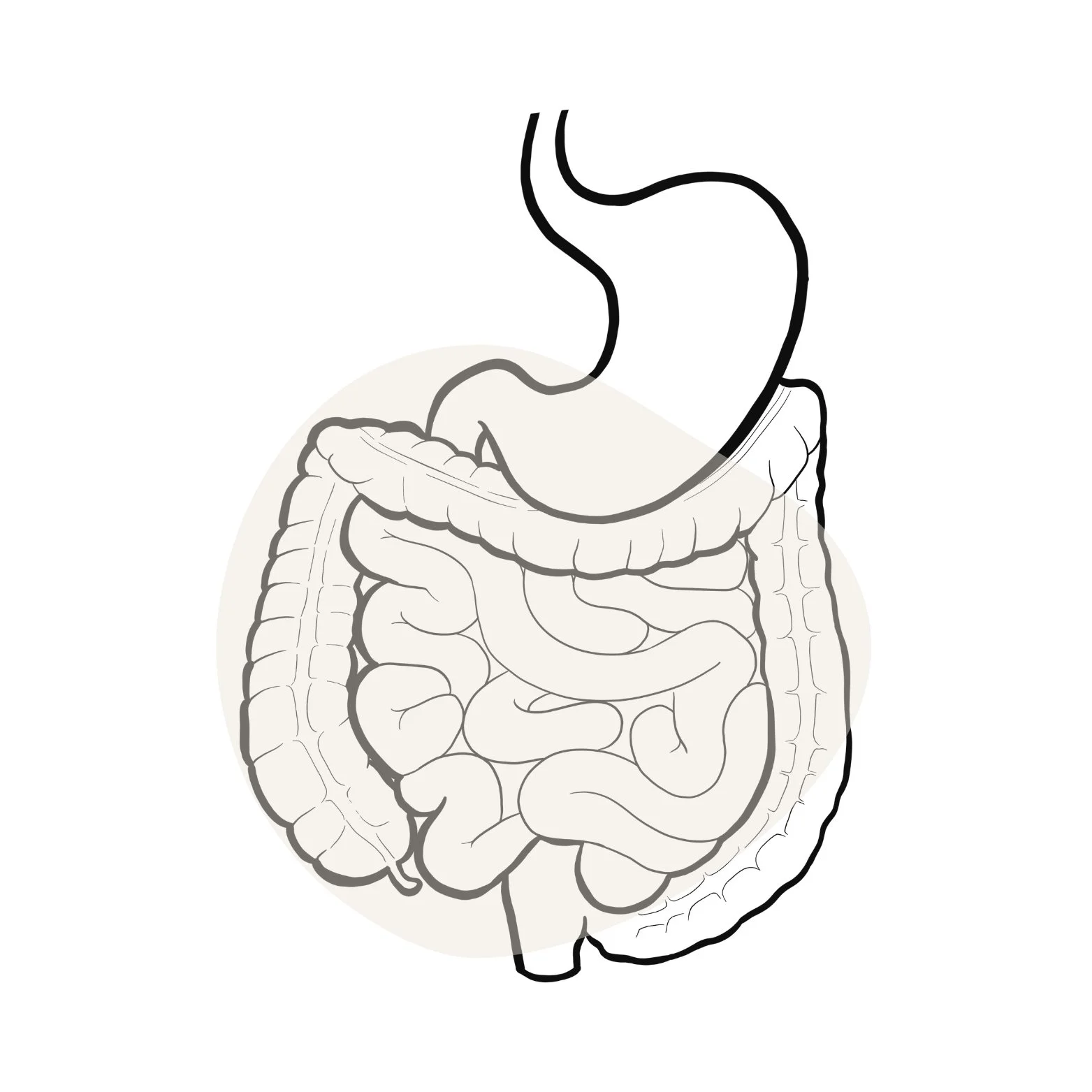 salud-digestiva-nutricionista