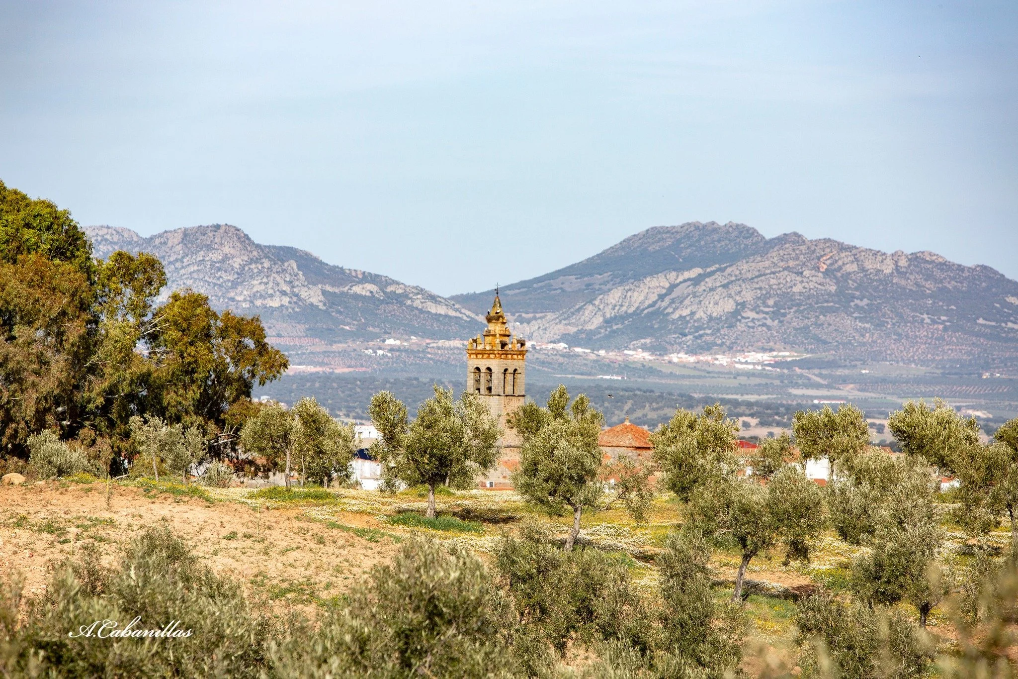 Paisaje de una campiña con árboles y un campanario en el centro, con montañas en el fondo.