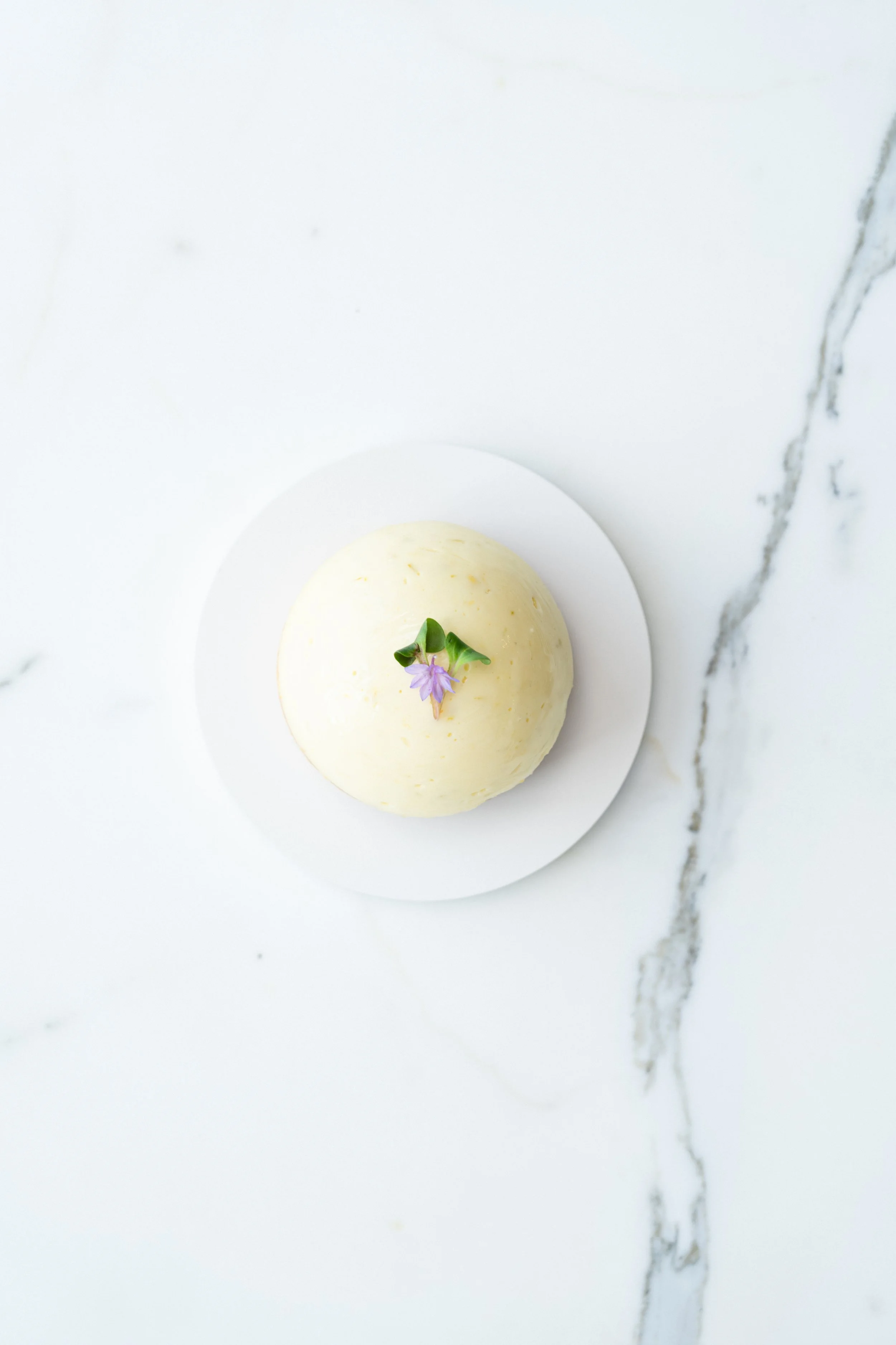 Alain_Cattolico_Food-4.jpg