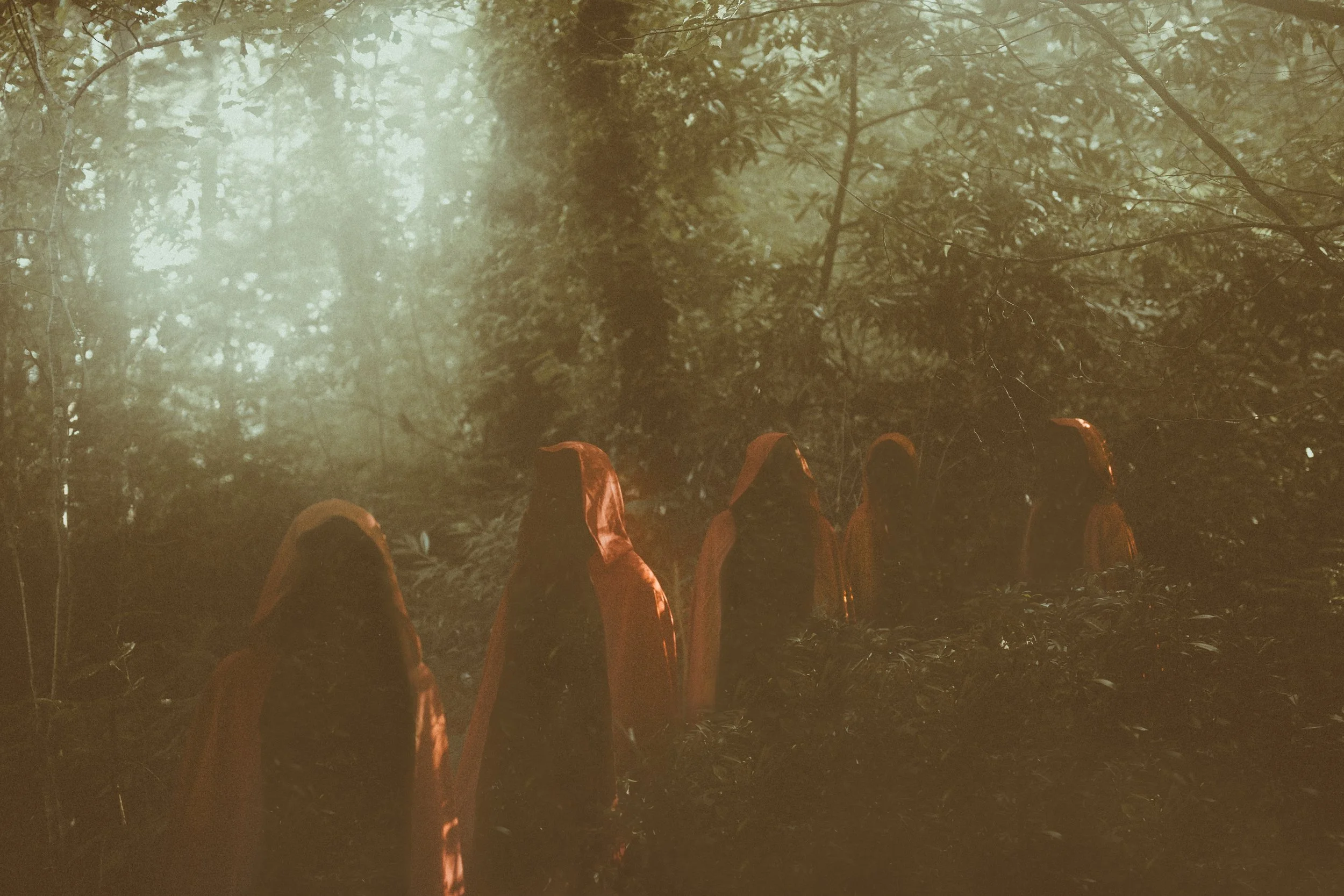 Women in red cloaks walking through a forest at dusk, symbolizing sacred community and feminine initiation