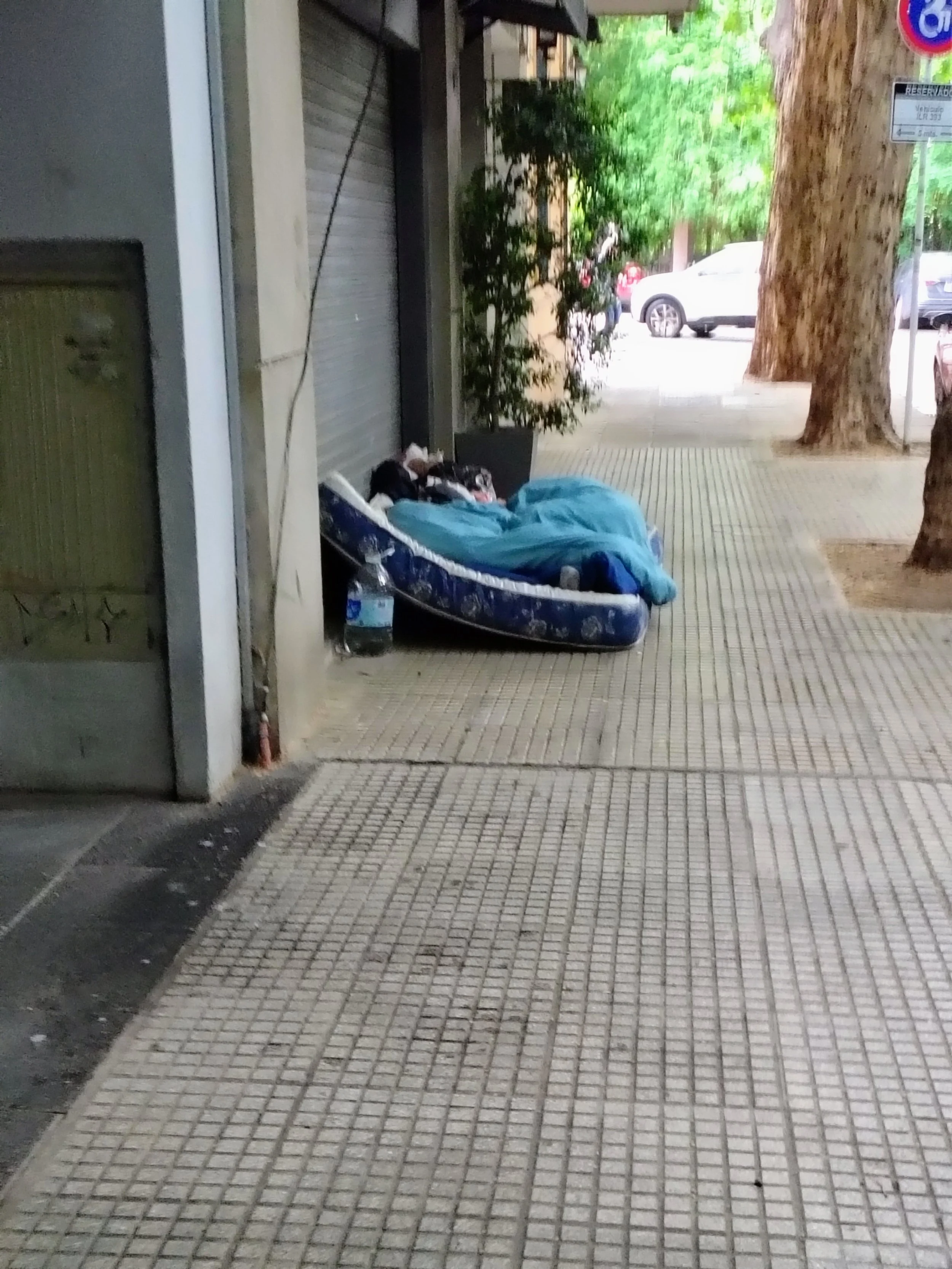 IMG_20251029_081518767_HDR_AE (yo).jpg