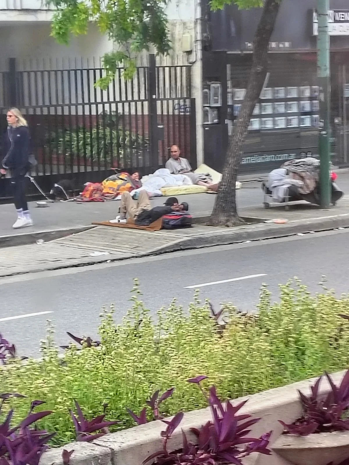 WhatsApp Image 2025-11-08 at 19.13.14.jpeg