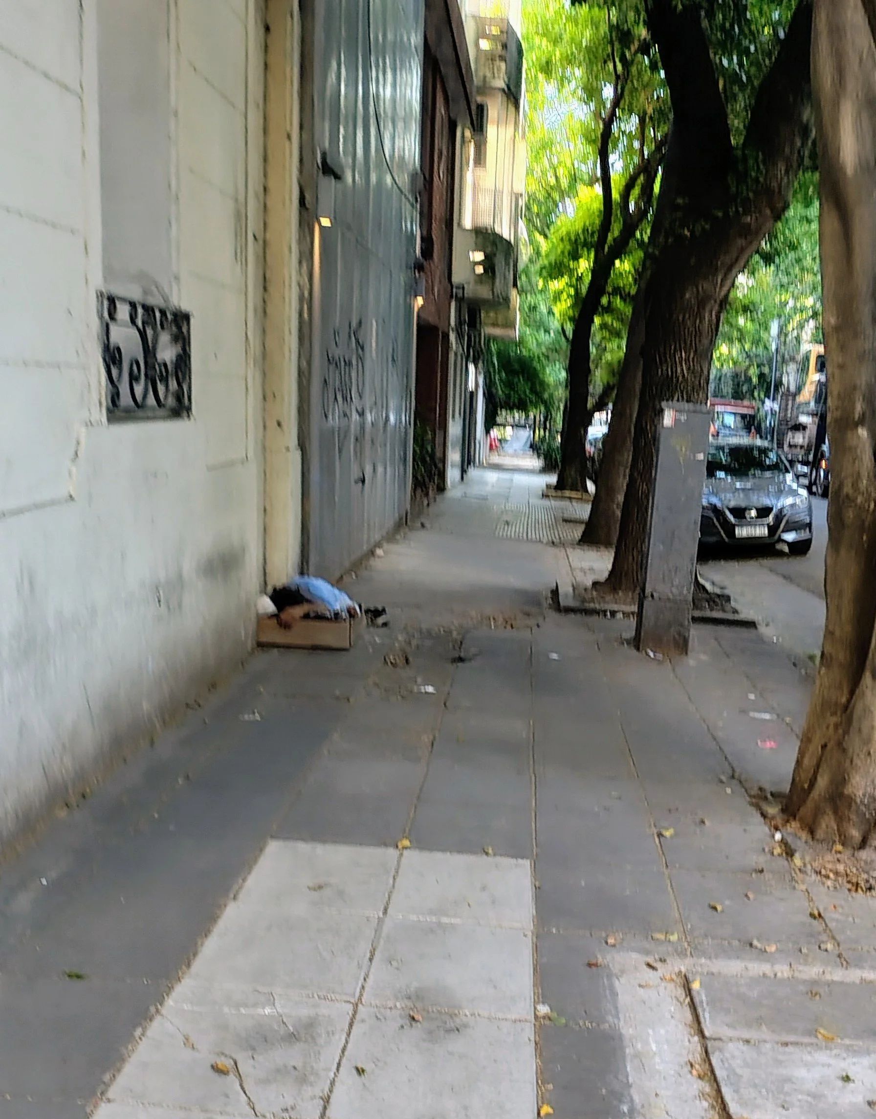 IMG_20251103_081016236_HDR_AE (saque yo).jpg