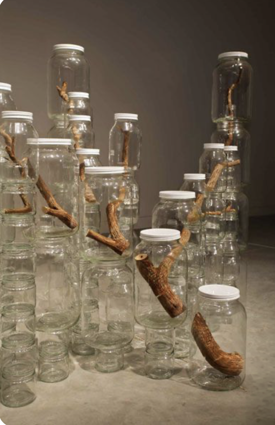 Screenshot 2026-04-01 at 12.33.14 PM.png