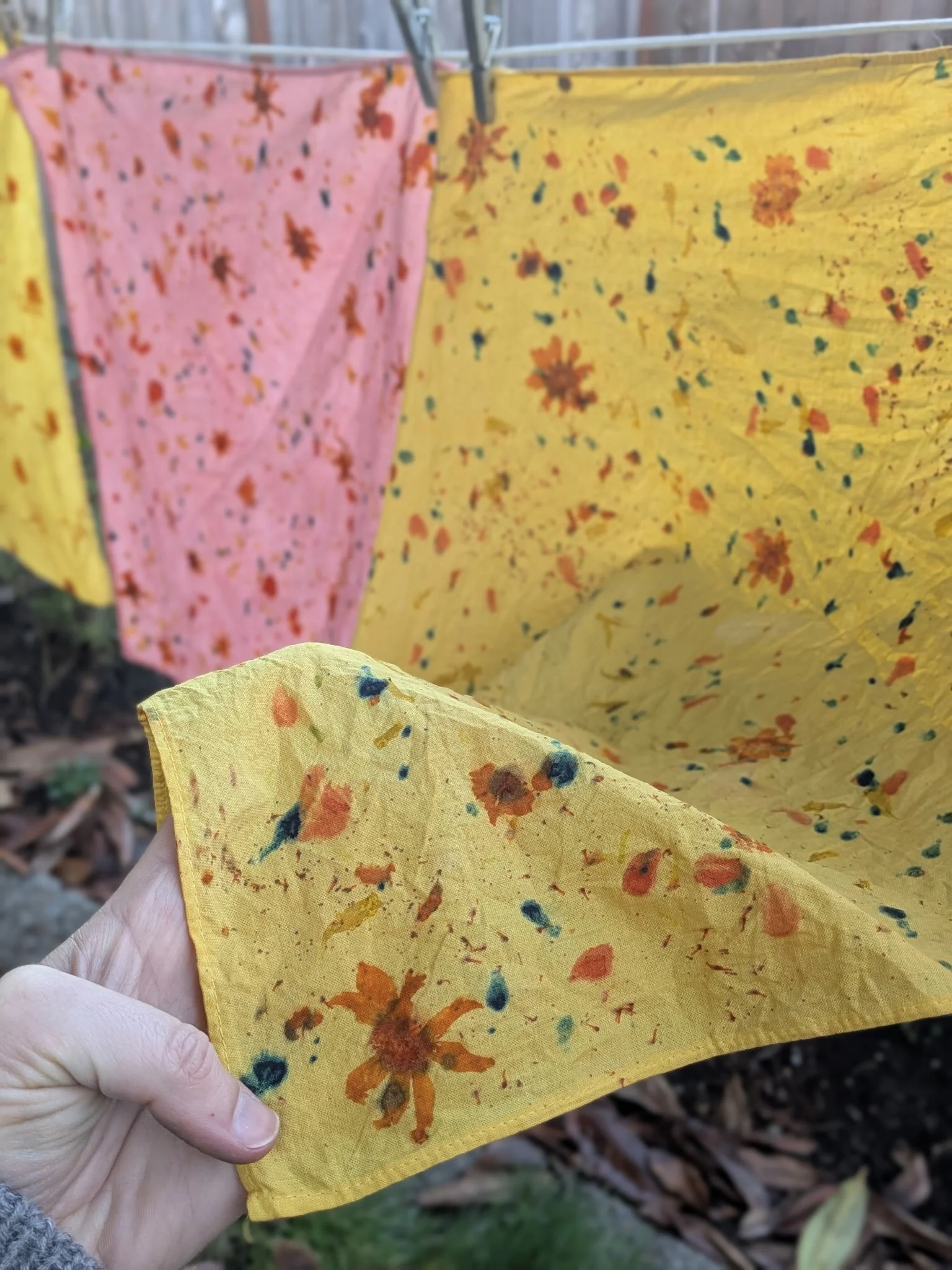 Natural Fiber Dyeing Workshop