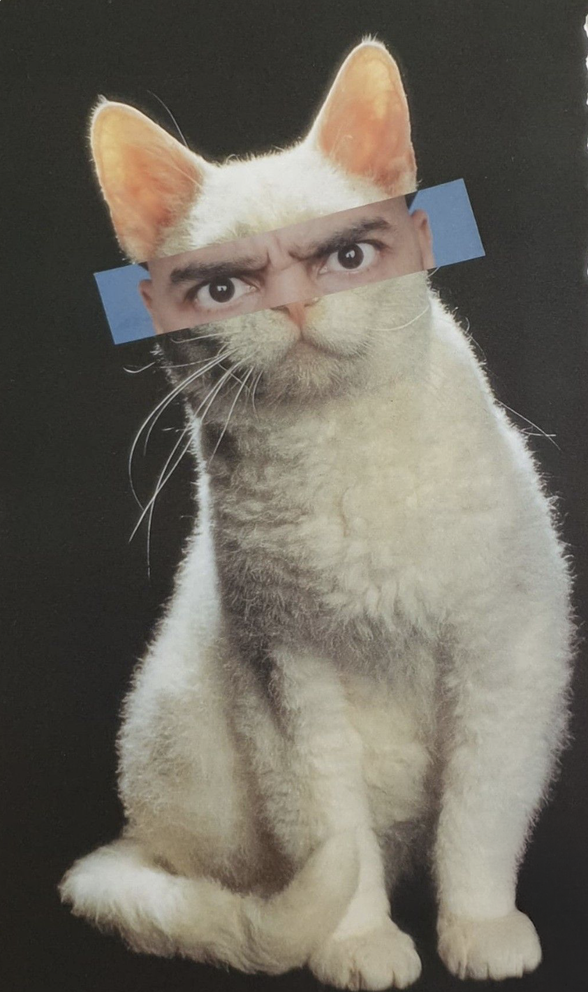 Screenshot 2026-03-30 at 1.35.28 PM.png