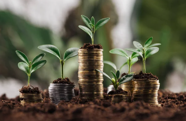 A business  — is a living organism.