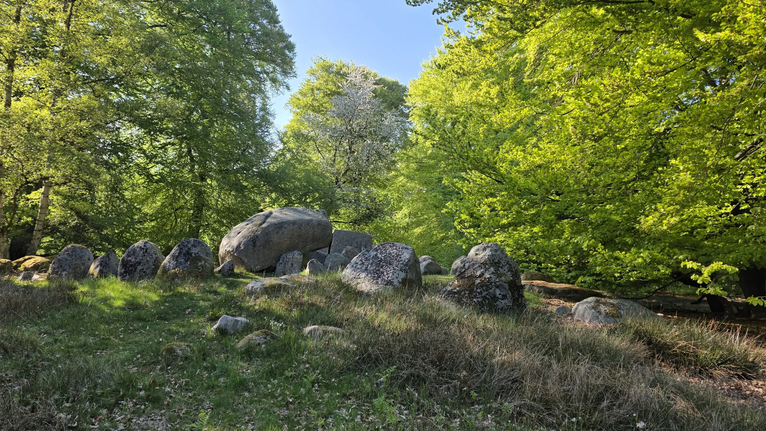 20260505_172444.jpg