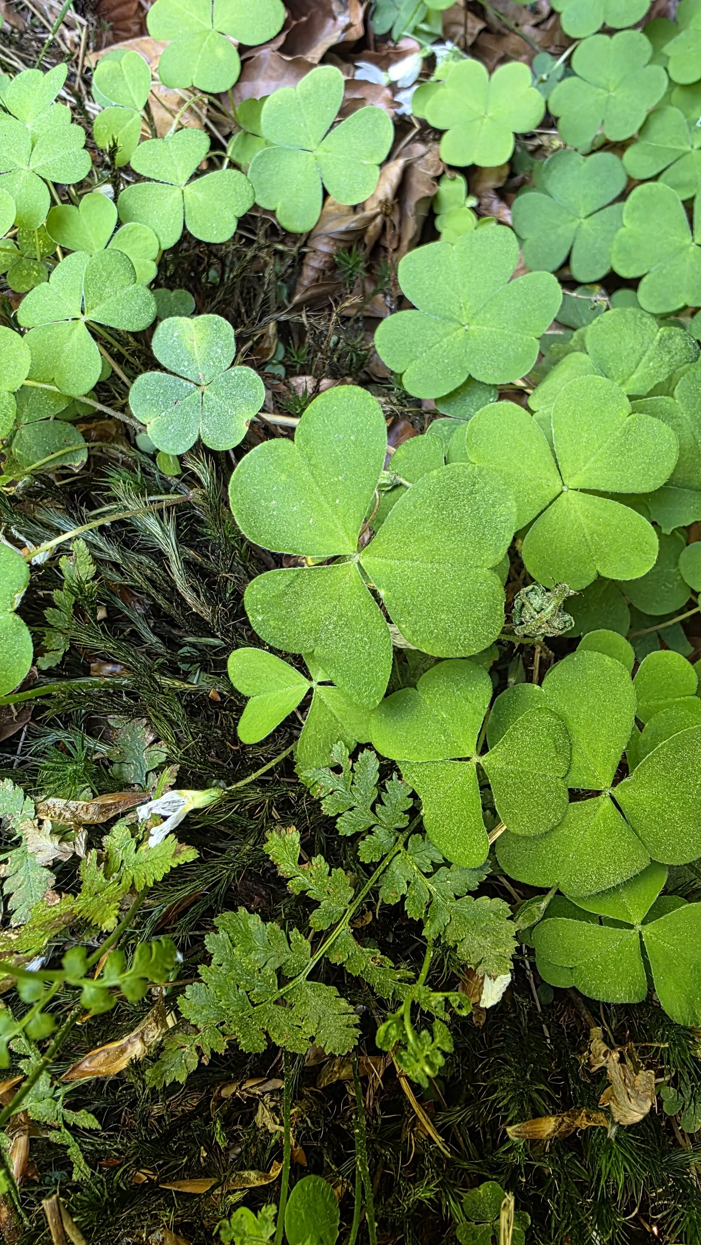20260505_172547.jpg