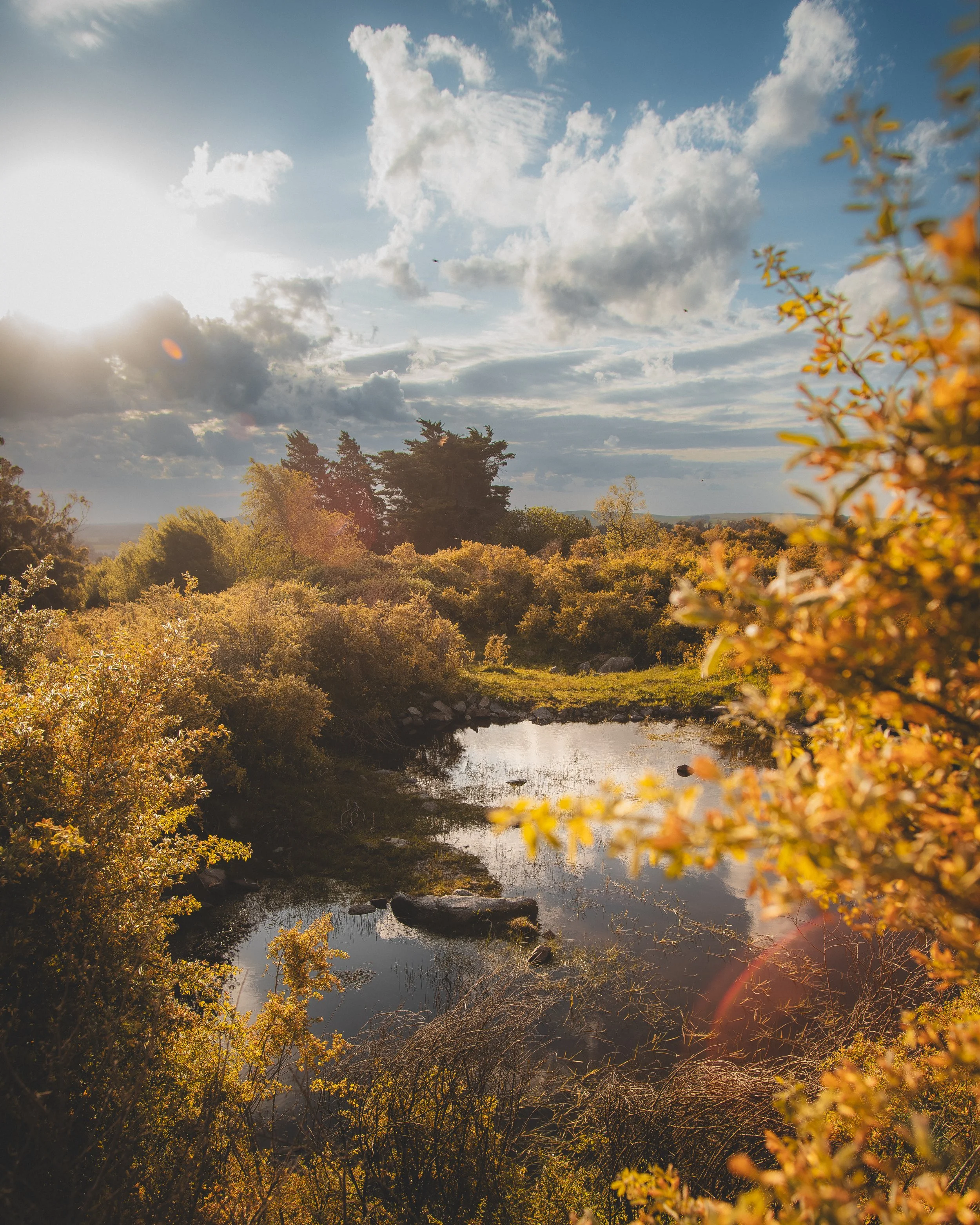 Paisaje con árboles coloridos de otoño, un río tranquilo, cielo con nubes y sol brillante.
