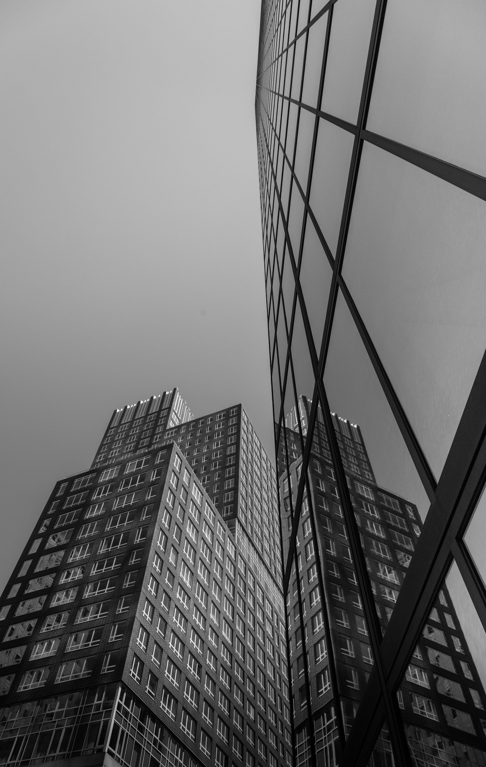 What is White Collar Crime?
