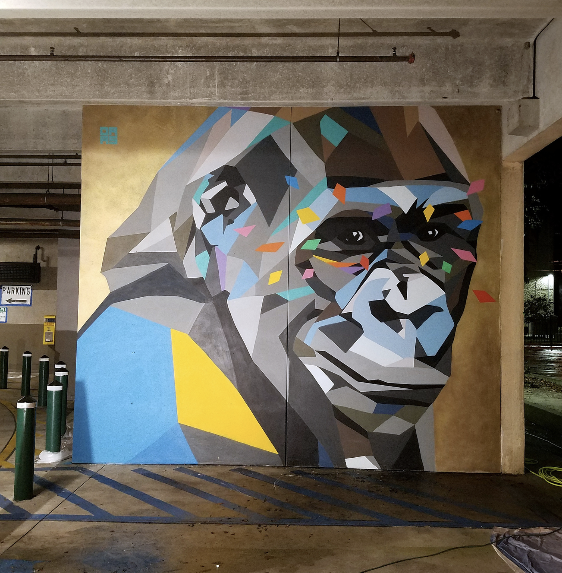 Ishmael | Gainesville, Florida