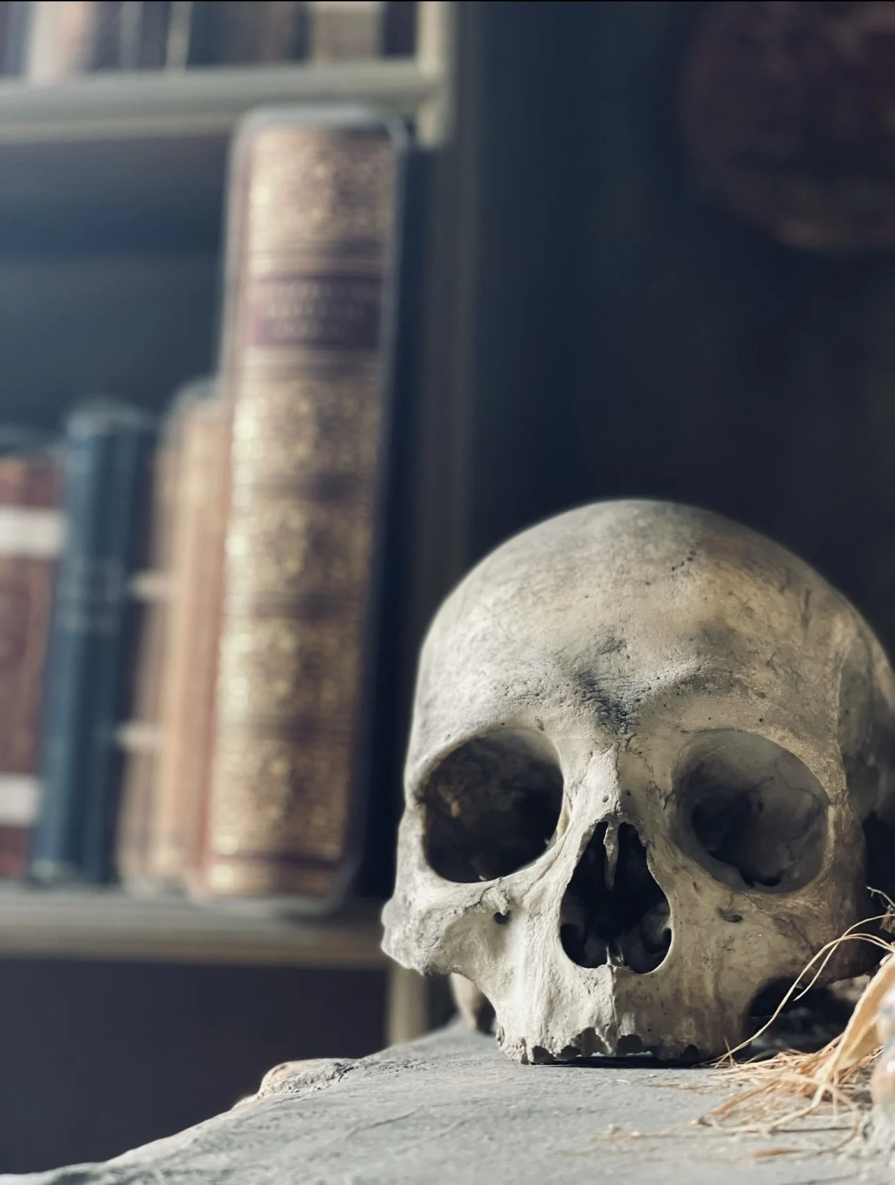 Briwolf's Read or Die: Fonthill Castle [2023] [Medium: Photography]