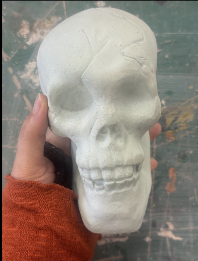 White clay skull