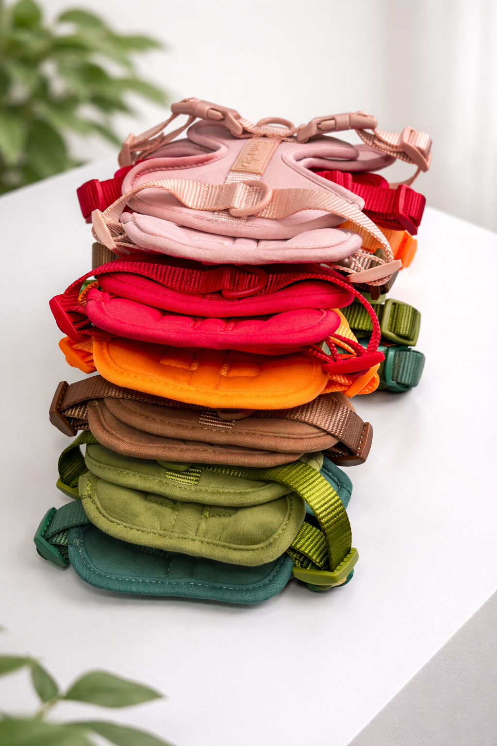 5 Things Every Dog Owner Needs for the Perfect Walk