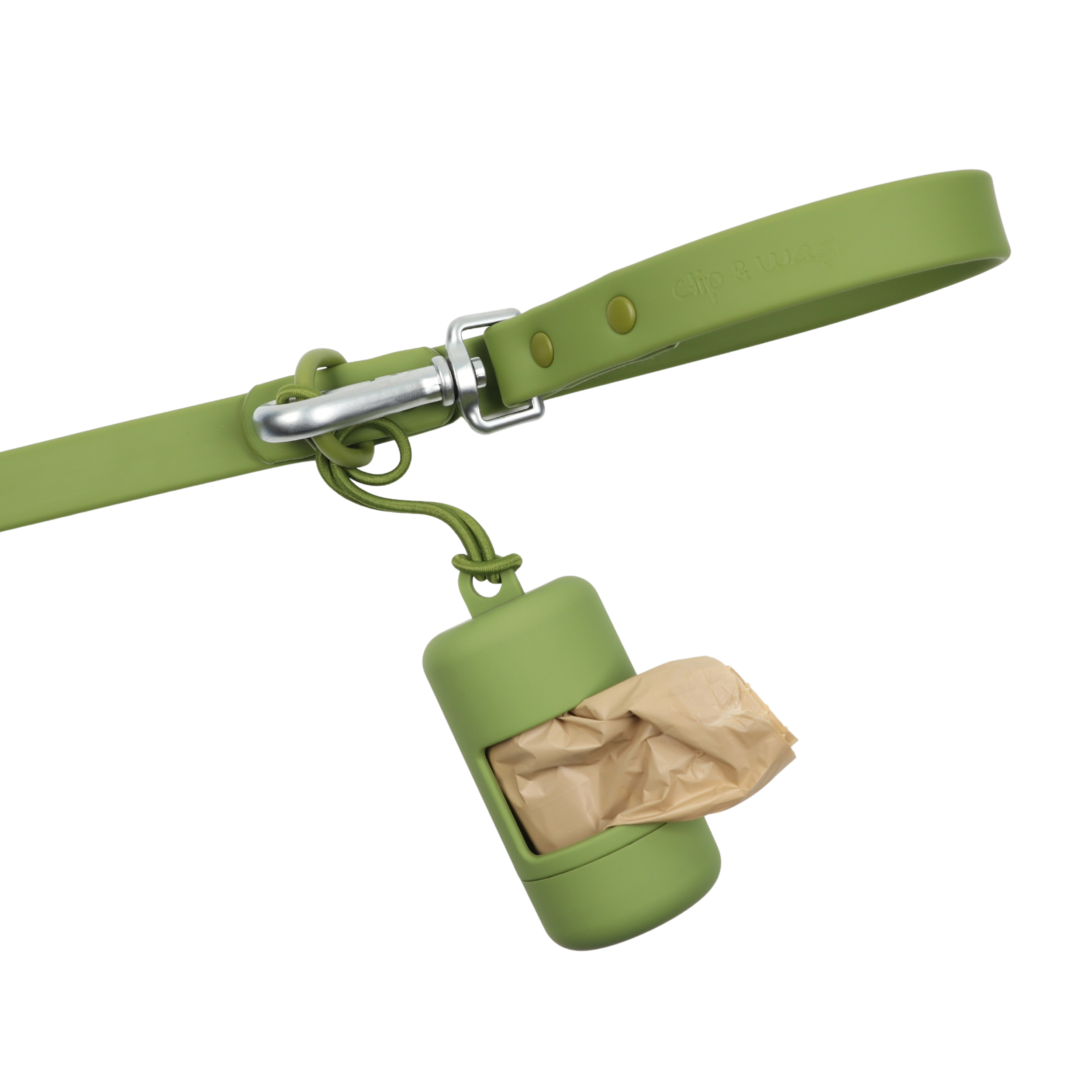 litchen carriercanva.png