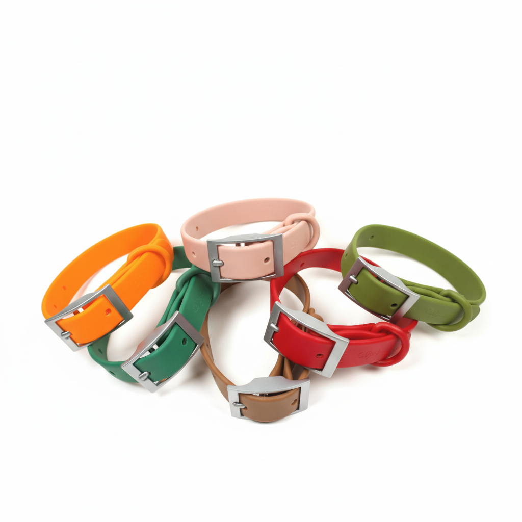 Waterproof dog collars for everyday use