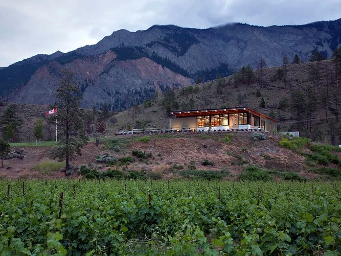 Modern house on a hillside surrounded by grapevines, mountains in the background, and a cloudy sky.