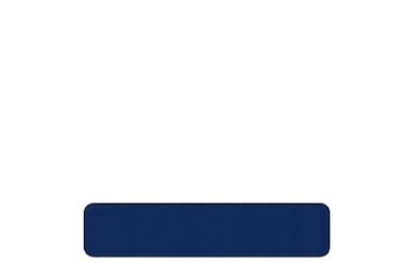 A close-up of a black and white animal, possibly a dog or a panda, with a dark nose and fur.