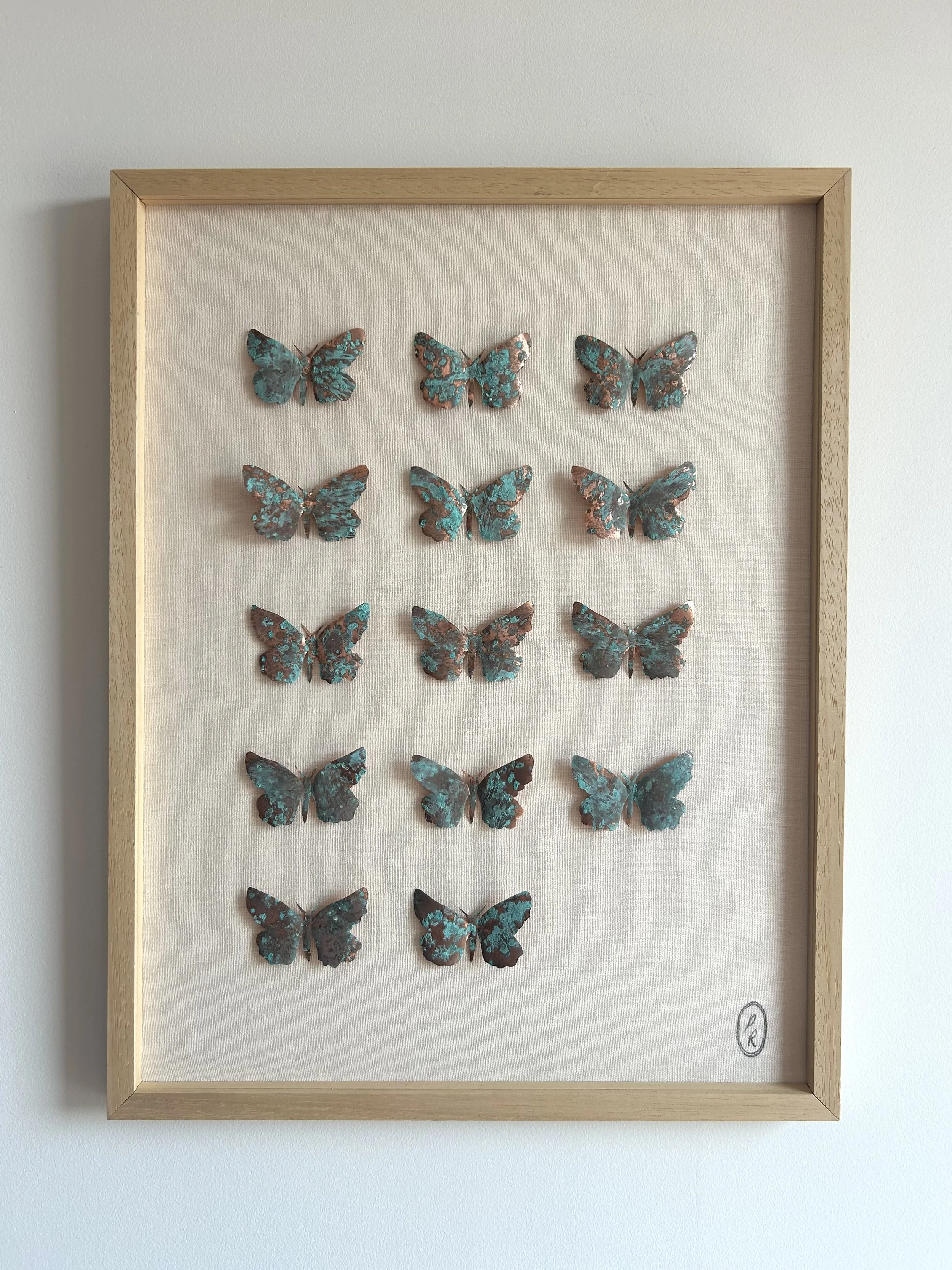Lepidoptery