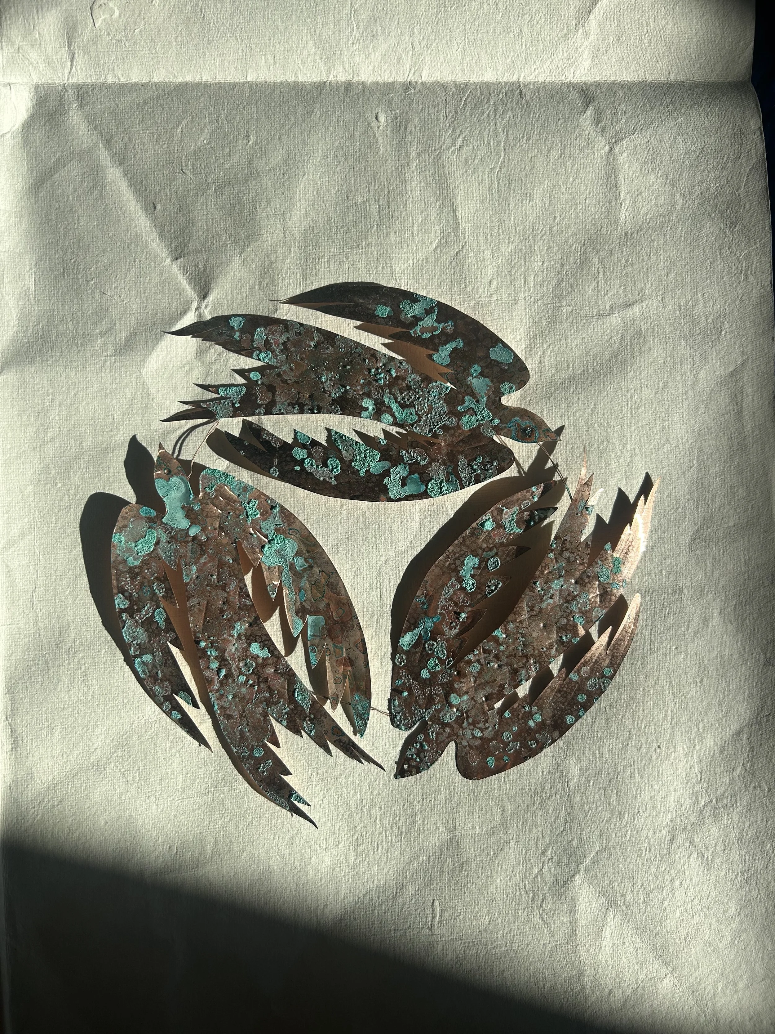 Copper Swallows