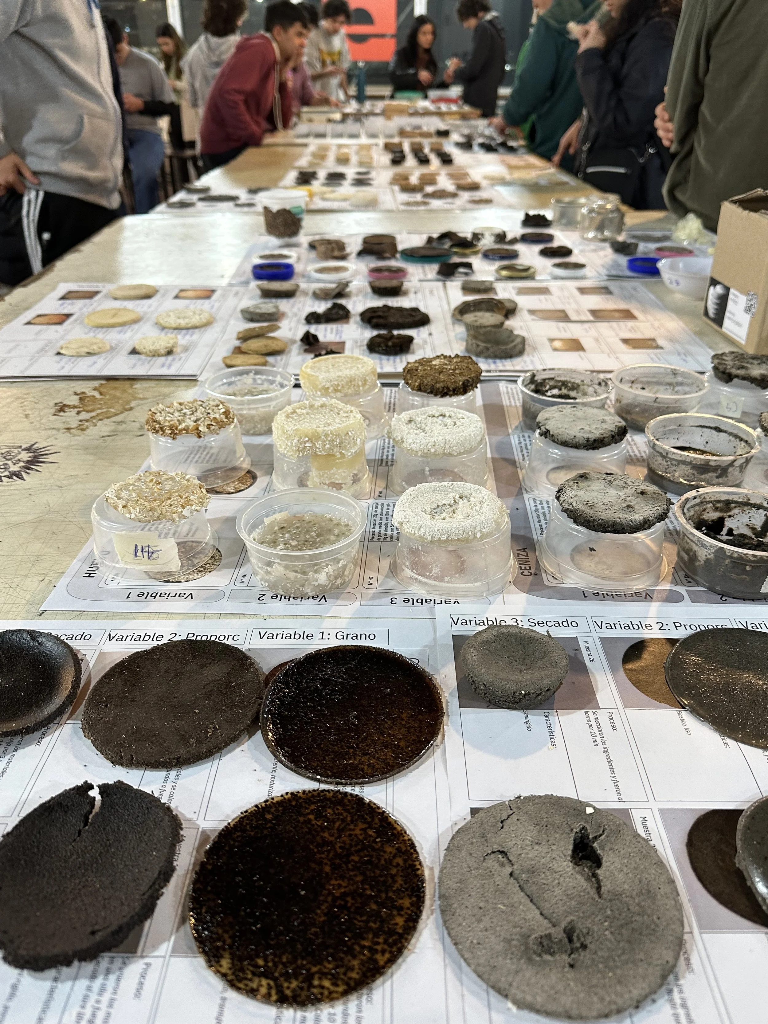 Biomaterials exploration - Diseño 1 FADU 2024