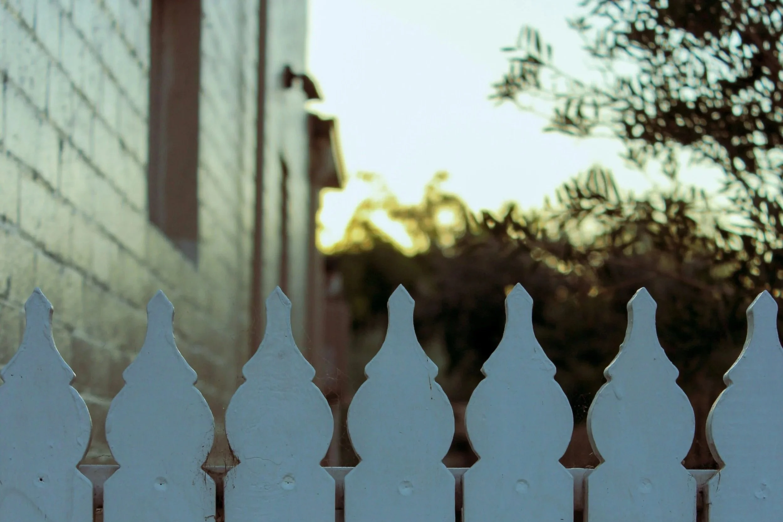 white+wood+home+fence+hollar+fencing-min.jpg