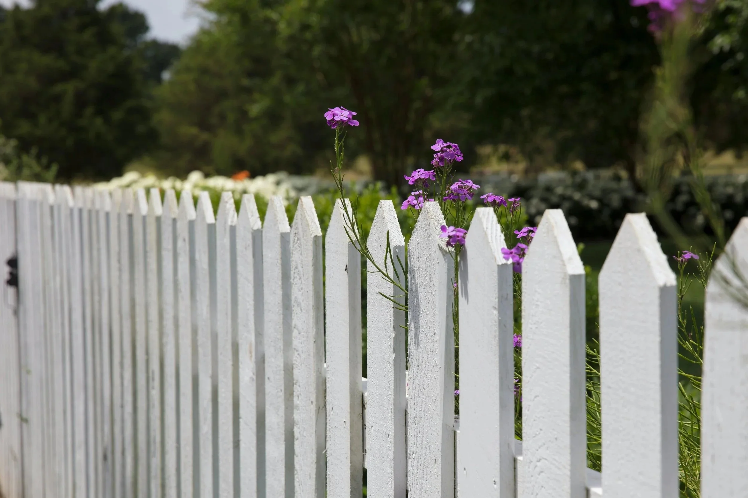 white+wooden+fence+around+home-min.jpg