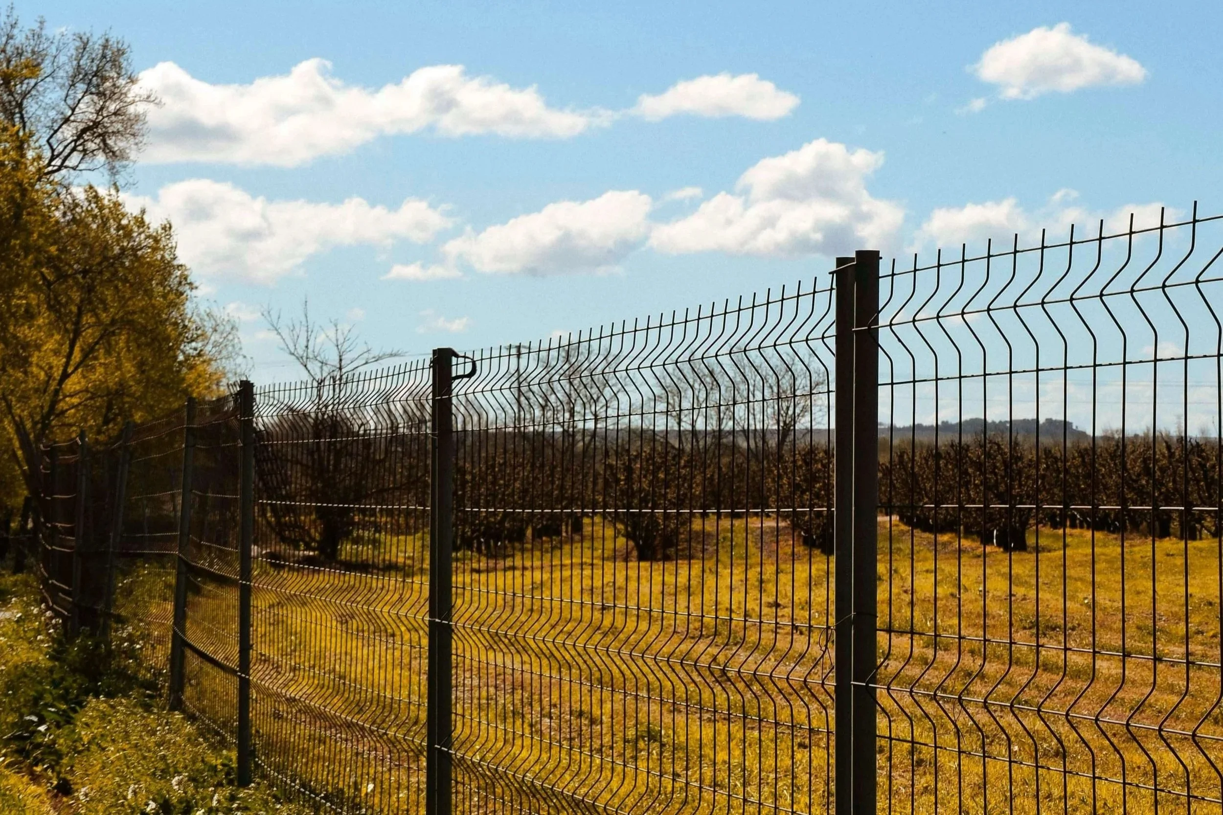 metal+yard+fence.jpg
