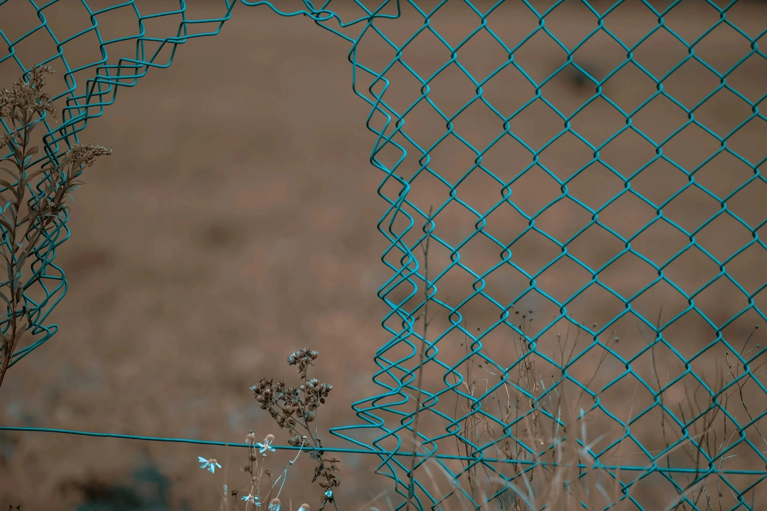 fence+repairs+metal+fence+solutions-min.jpg