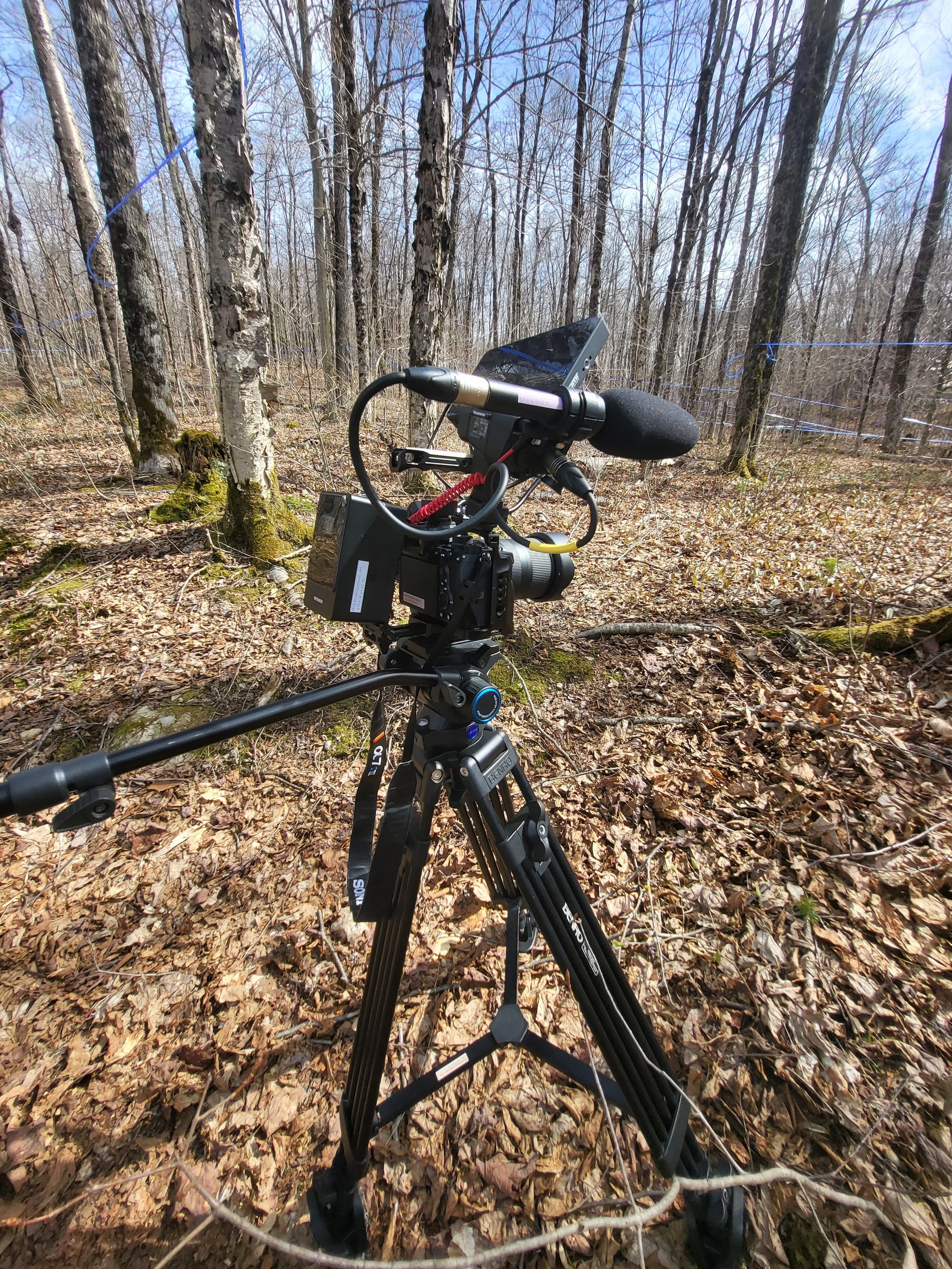 Filming in a Canadian forest.