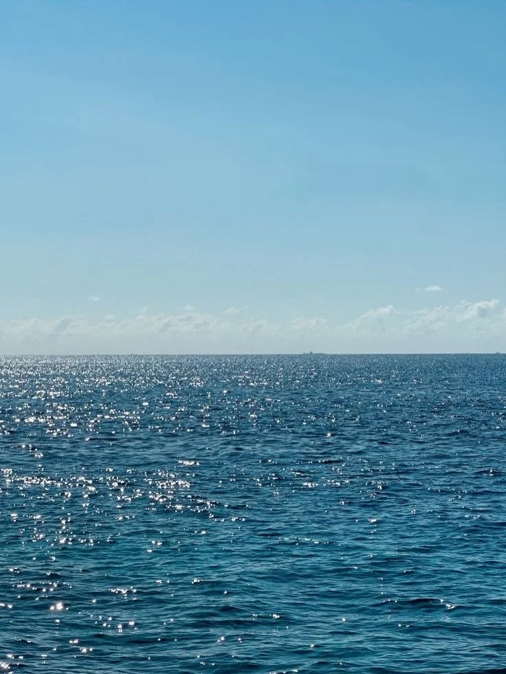 Before it became a fashion reference, cerulean already existed.

In water. 
In light. 
In daily rituals. 
In paintings by Claude Monet.

Some colors never really leave us.
