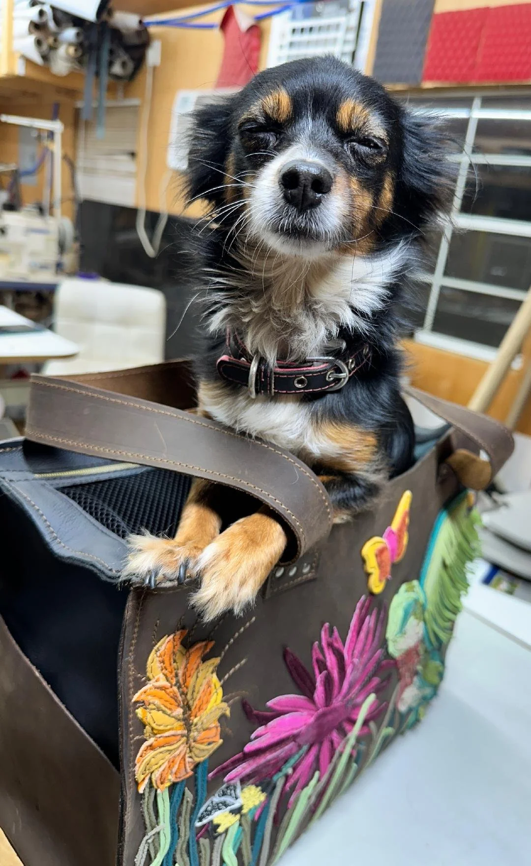 doggie tote 4.jpg