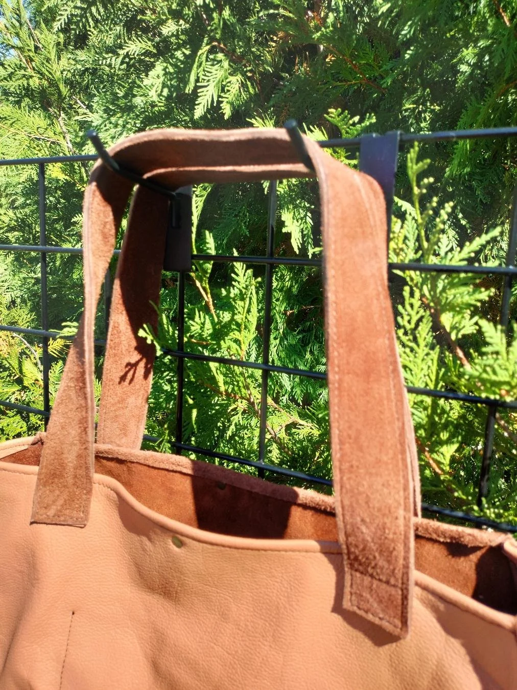 mountaintote1.jpg
