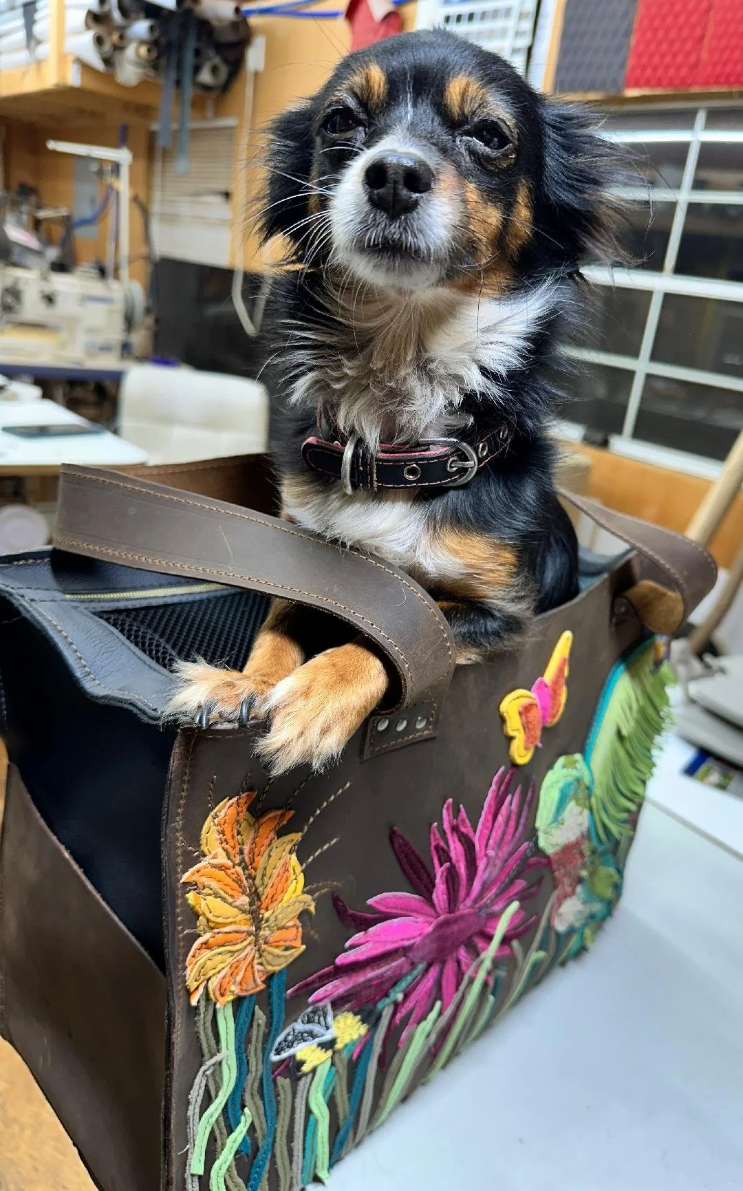 doggie tote 3.jpg