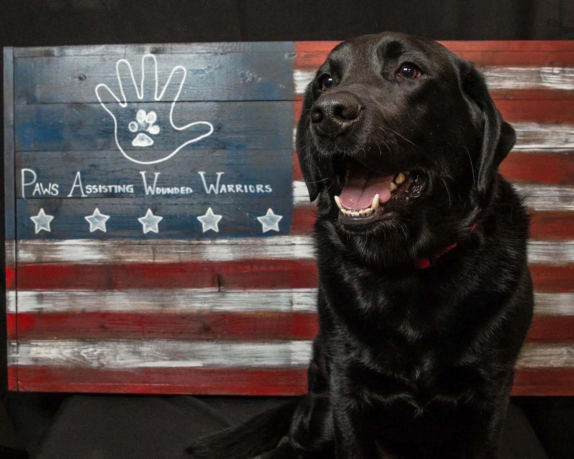 Francis, a black Labrador Retriever service dog, sitting beside a wooden sign with the words 'Paws Assisting Wounded Warriors' sign.