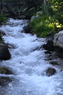 A flowing mountain stream surrounded by rocks and green forest foliage.