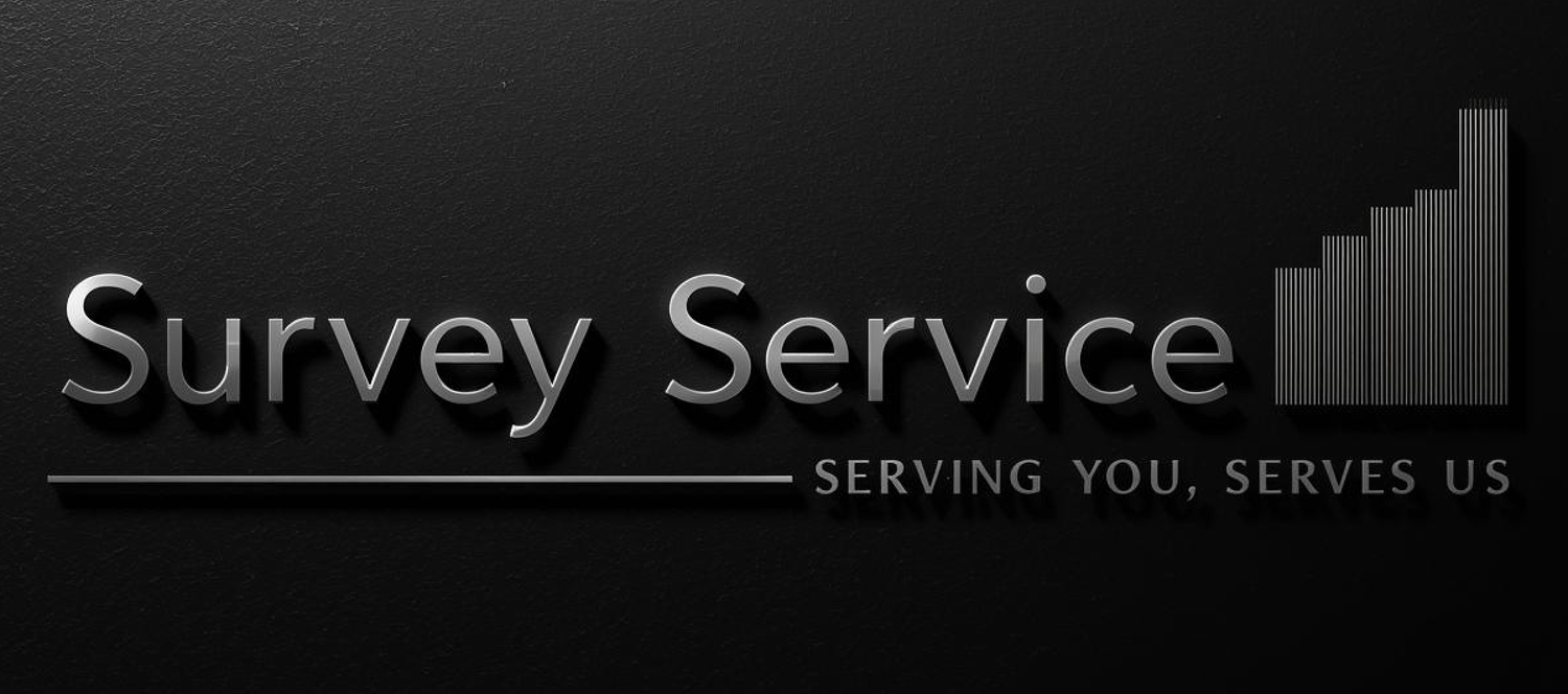 Survey Service