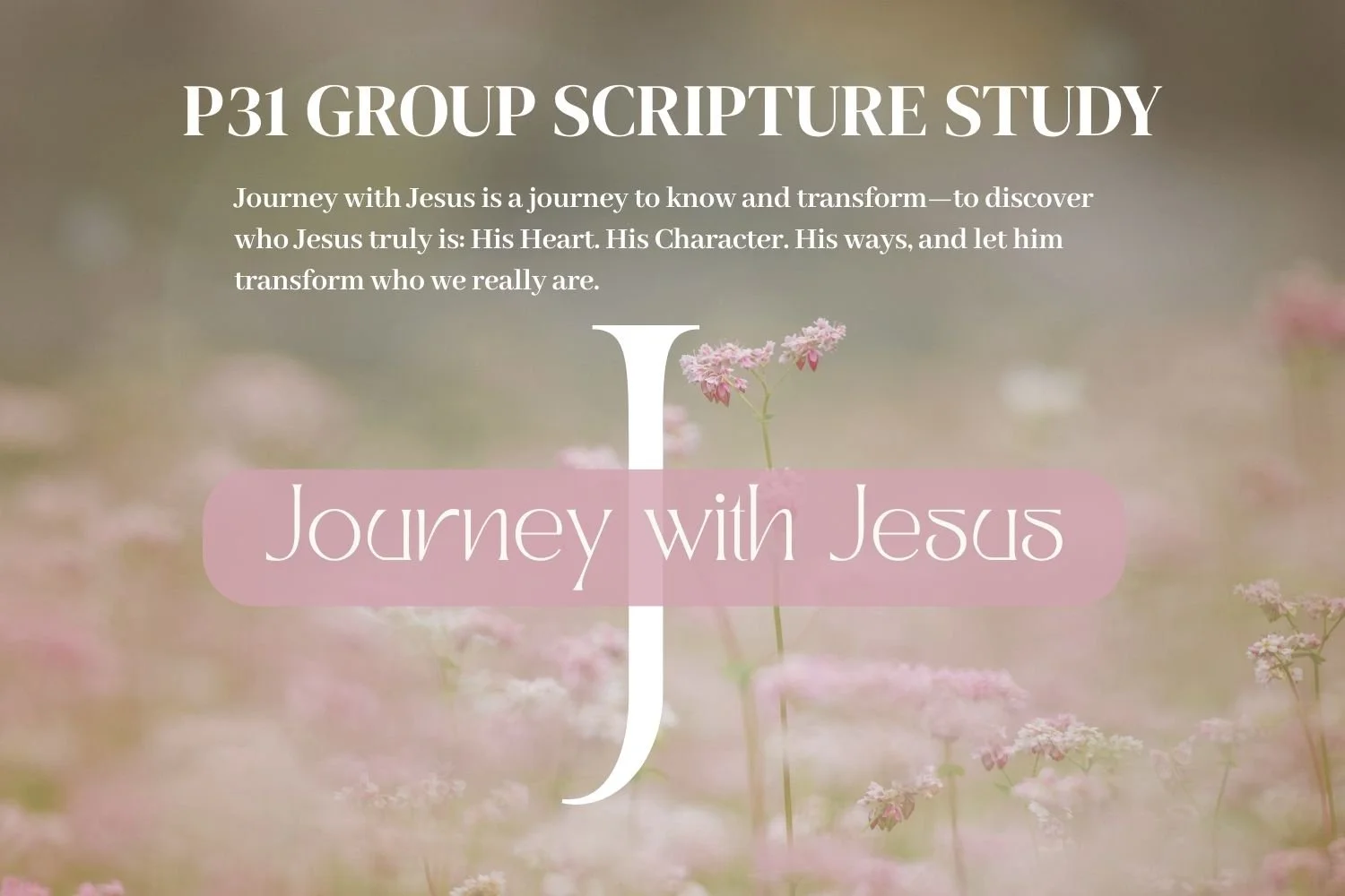 “Journey with Jesus” —Group Scripture Study