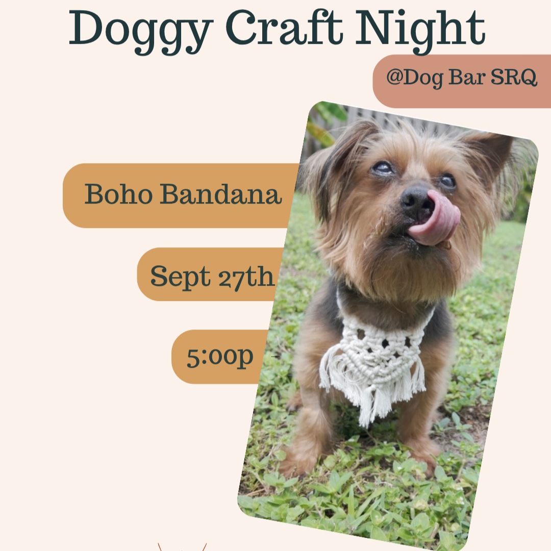 DogCraftNight_IGPost.png