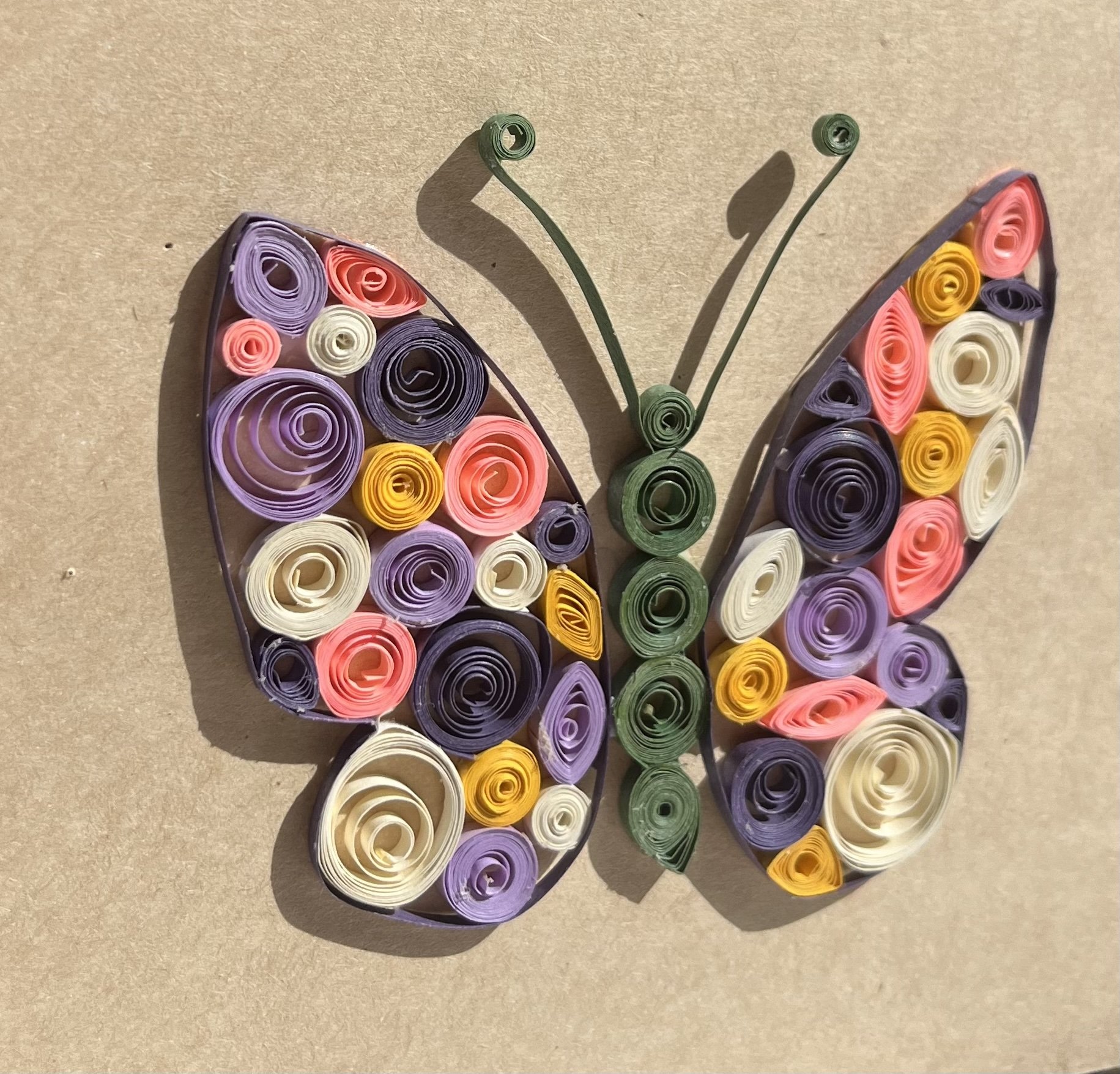 butterfly3.jpg