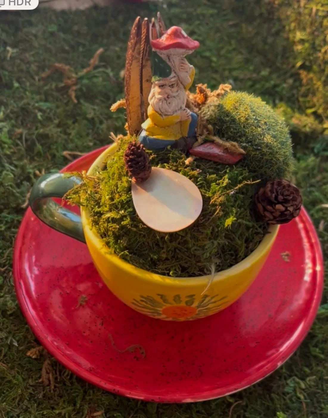 Fairy Teacup Garden
