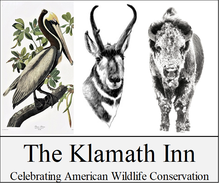 Crater Lake Lodging with Purpose