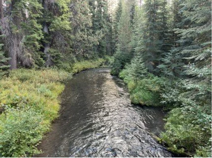 Scenic stops between Klamath Falls and Crater Lake