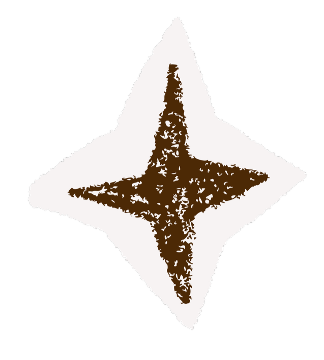 A stylized white diamond shape on a black background with a brown four-pointed star inside.