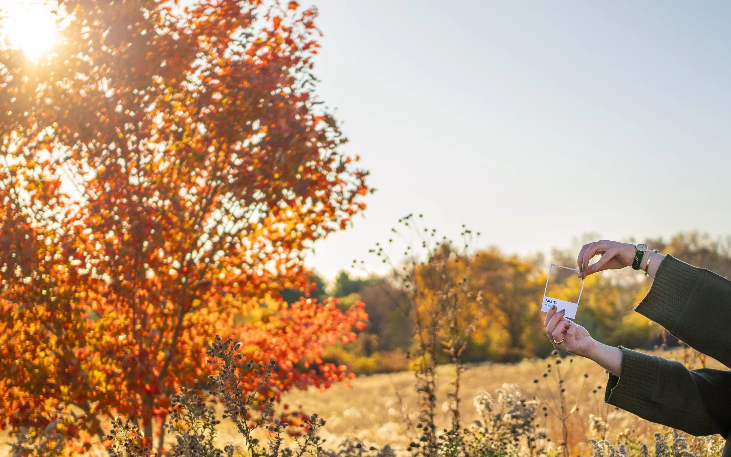 A person holding a photograph frame in an autumn landscape with a colorful fall tree and sunlight in the background.
