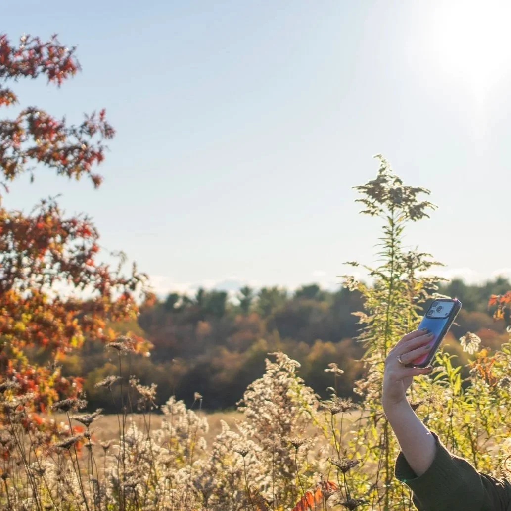 A person holding a smartphone like an influencer in an outdoor field with fall foliage, trees, and a clear sky in the background.