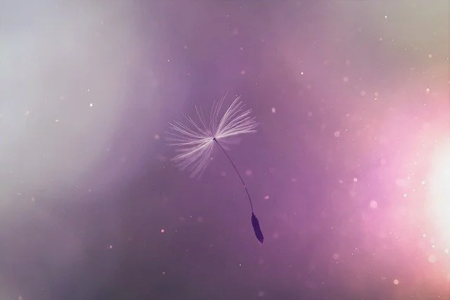 A dandelion seed floating against a colorful, blurred background.