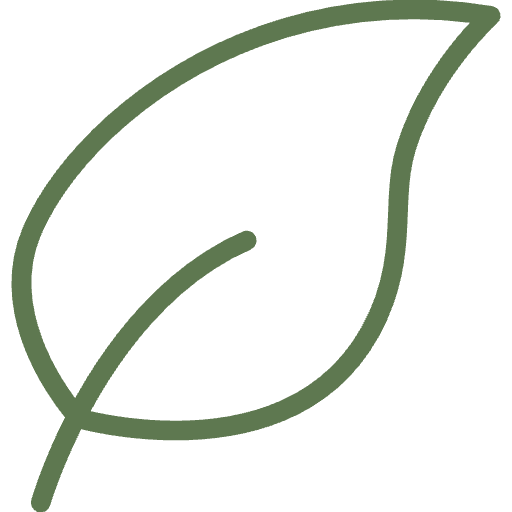 leaf-svgrepo-com.png