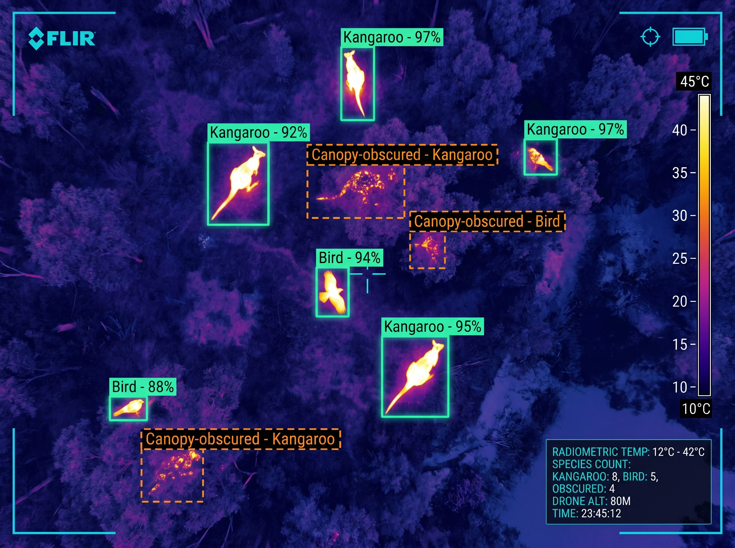 Drone thermal and radiometric image of a forest with multiple animals and wildlife being detected and labelled, with high confidence scores by DeepSky IQ.